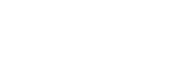 FEYDEM
